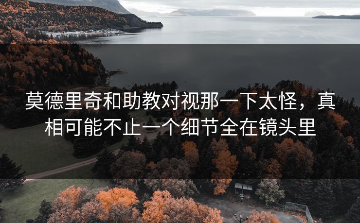 莫德里奇和助教对视那一下太怪，真相可能不止一个细节全在镜头里