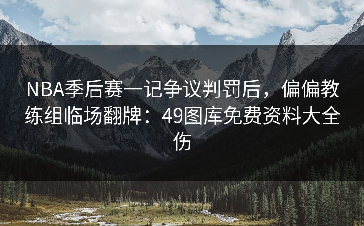 NBA季后赛一记争议判罚后，偏偏教练组临场翻牌：49图库免费资料大全伤