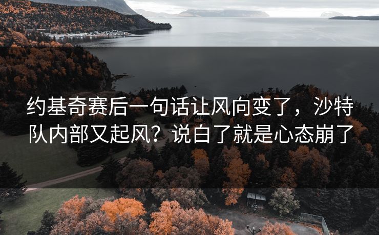 约基奇赛后一句话让风向变了，沙特队内部又起风？说白了就是心态崩了